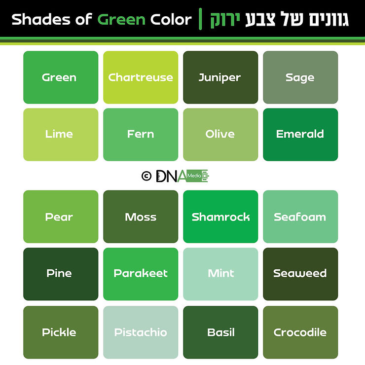 גוונים של צבע ירוק | green color shades