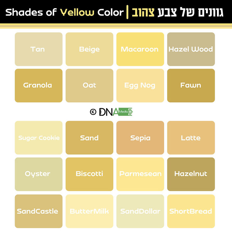 גוונים של צבע צהוב | yellow color shades